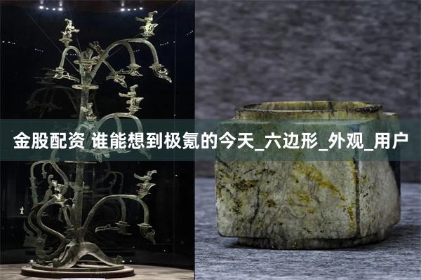 金股配资 谁能想到极氪的今天_六边形_外观_用户
