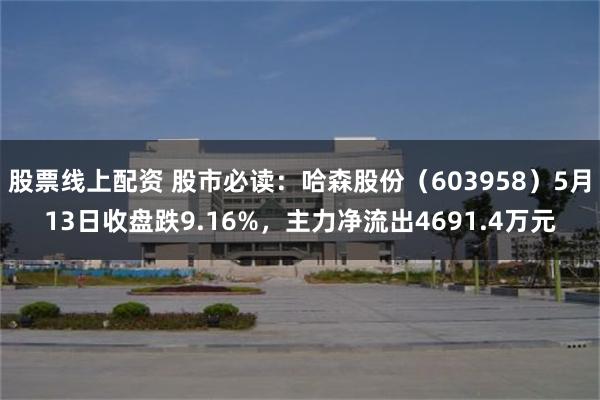 股票线上配资 股市必读：哈森股份（603958）5月13日收盘跌9.16%，主力净流出4691.4万元