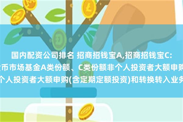 国内配资公司排名 招商招钱宝A,招商招钱宝C: 关于调整招商招钱宝货币市场基金A类份额、C类份额非个人投资者大额申购(含定期定额投资)和转换转入业务的公告
