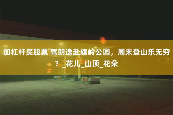 加杠杆买股票 驾朗逸赴旗岭公园，周末登山乐无穷？_花儿_山顶_花朵