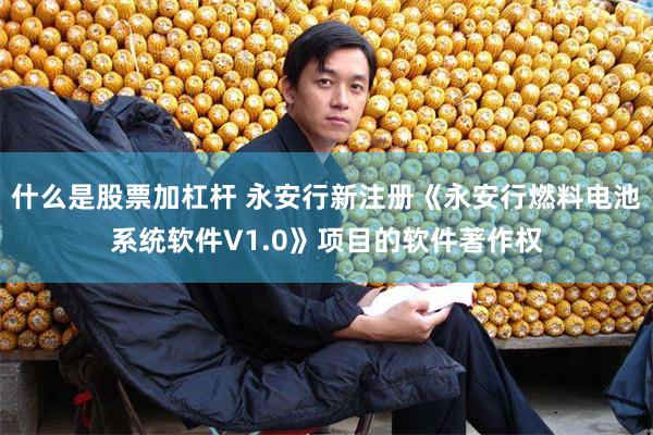 什么是股票加杠杆 永安行新注册《永安行燃料电池系统软件V1.0》项目的软件著作权