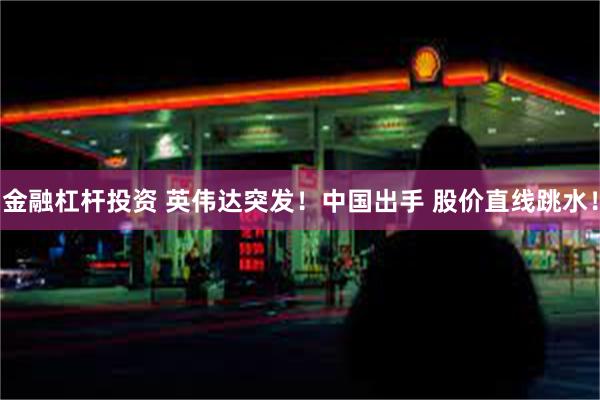 金融杠杆投资 英伟达突发！中国出手 股价直线跳水！
