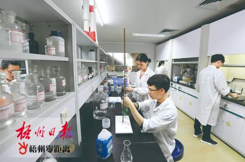 梧州雙雄展科技實力，高新技術企業百強再創佳績